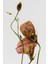 |soft| Kuru Çiçek Kombini (Cymbidium Orchids) |çerçeveli Cam Tablo 2li Dikey 3