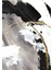 |gri Bej Gold Kombini Soyut Desenler |temperli Cam Tablo 2li Dikey 5