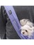 Lila Crossbody Çanta Kedi Köpek Taşıma Çantası 2