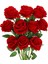 Yapay Gül Çiçek Kırmızı Ipek Güller Kök Çiçek Buketi Düğün Ev Dekorasyonu, 10'lu Paket (Kırmızı) (Yurt Dışından) 1