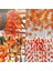 12 Tellerinin Güz Akçaağaç Yaprakları Sonbahar Ivy Garland Yapay Akçaağaç Sarmaşıklar Garland Şükran Günü, Noel, Ev Dekorları (Yurt Dışından) 3