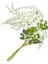 Yapay Ipek Wisteria Vine Ratta Ipek Asılı Çiçek Düğün Dekor, 6 Parça, (Beyaz) (Yurt Dışından) 1