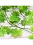 12 Adet 7.5ft Yapay Akçaağaç Yaprakları Asılı Sarmaşıklar, Bahçe Düğün Süslemeleri Için Ivy Garland Asılı Bitkiler (Yurt Dışından) 5