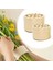 Spiral Sap Destek Plastik Çiçek Yerleştirme Aracı Çiçek Tasarımı Döndürme Çiçek Tüpü 2 Paket (Yurt Dışından) 2