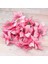 50 Paket Glitter Poinsettia Yılbaşı Ağacı Süsleri 5 Inç Yapay Ipek Çiçekler Dekor Garland (Pembe) Seçtikleri (Yurt Dışından) 5