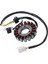 Motosiklet Alternatör Jeneratör Suzuki GN250 Gn 250 Magneto Stator Magneto Bobin 250CC Şarj Bobinleri (Yurt Dışından) 2