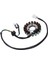 Motosiklet Alternatör Jeneratör Suzuki GN250 Gn 250 Magneto Stator Magneto Bobin 250CC Şarj Bobinleri (Yurt Dışından) 3
