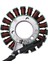 Motosiklet Alternatör Jeneratör Suzuki GN250 Gn 250 Magneto Stator Magneto Bobin 250CC Şarj Bobinleri (Yurt Dışından) 5