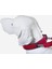 Boyun Tasması Kırmızı Renkli L 49 Cm-59 cm 2