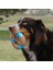 Kong Core Strength Halka Şeklinde Köpek Oyuncağı Small 2