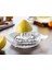 Cam Limon Sıkacağı 1