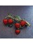 Kadınlar Için Emaye Çilek Broşlar Kırmızı Renk Pin Broş Bitki Tasarımı Sevimli Yaz Tarzı (Yurt Dışından) 2