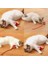 Şarjlı Kedi Oyuncağı 2