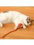 Şarjlı Kedi Oyuncağı 5