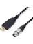 USB Kadın Mikrofon Kayıt Kablosu 3 Metre Ses Konektörü Kablosu Adaptörü Müzik Aleti Kayıt Karaoke (Yurt Dışından) 2