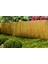 220CM Yükseklik x 300CM Genişlik Doğal Bambu Kamış Hasır Çit Dekoratif Bahçe Balkon ve Duvar Çiti Reed Fence 1