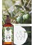 Sıvı Sabun- Ferahlatıcı Zeytin Turunç- 190ml-90406 3