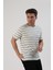 Çizgili Erkek T-Shirt 1