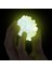 NAT08002 National Geographic Parlayan Kristal Laboratuvarı -Tnggıdcrystal +8 Yaş 2