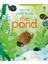 USB - Peep Inside The Pond 1