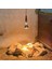 LİGTEX INFRARED KÜMES ISITICI LAMBA 250 W 5