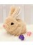 Luxury Yürüyen, Sesli Hareketli Sevimli Peluş Bunny Tavşan - Sweet Bunny 1 Adet 1