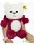 Pandamke Uykucum Ayıcık 1 Adet 5