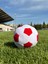 Renkli Peluş Futbol Topu 1 Adet 3