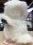 Snowy Austin Beyaz Baykuş Peluş 15 cm 1 Adet 2