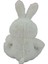 Neon Renkli Tavşan Peluş 30 cm 62232 1 Adet 4