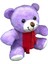 Peluş Ayıcık 1 Adet 1