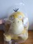 Psyduck Ördek Pokemon Peluş Oyuncak 25 cm Gerçek Görünümlü Pokemon Go Pokemon United 1 Adet 5