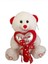 Şeker Kalpli Ayı Peluş Sevgiliye Hediye Arkadaşa Hediye Peluş Ayıcık 40 cm 1 Adet 1