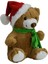 Atkılı ve Yılbaşı Şapkalı Peluş Ayı 23 cm 78154 1 Adet 2
