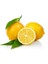 Luxury Limon 50 Adet Bitki Çayı Bonesi 1 Adet 2