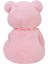 Yumoş Ayı 47 cm Pembe Pelüş Ayı Sevgiliye Hediye 1 Adet 2