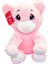 1173 Cute Ayı 30CM 1 Adet 1