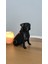 Pug Köpek Dekor Dekorasyon Biblo Heykel Ev Dekorasyonu Hediyelik 14 cm Siyah Renk 5