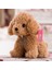 Sevimli Köpek Kaniş Peluş Oyuncak 20 cm Puppy Gerçekçi Ev Dekorasyon 1 Adet 2