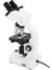 Labs CB1000CF Mikroskop - 1000X 3
