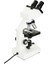 Labs CB1000CF Mikroskop - 1000X 4