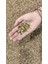 Doğal Renk Taş Halı Kendin Uygula Kiti - Kolay Uygulama Stone Carpet Seti (İç/Dış Mekan Uyumlu) 5