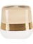 Metrashop D-20452 Lucas Gold Diş Fırçalık 1
