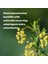 Berberine Supplement 500MG Per Serving, 120 Veggie Caps 3