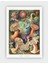 Kunstformender Natur Ernst Haeckel Duvar Posteri - Kalın Kağıt - Çerçevesiz 1