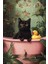 Kedi Duvar Posteri , Kalın Kağıt - Çerçevesiz Poster - Cat Poster 1