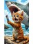 Kedi Poster - Yüksek Çözünürlük Hd Duvar Posteri Cat Poster Çerçevesiz 1