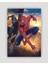 Spider Man 3 (2007) Film Duvar Posteri - Kalın Kağıt - Çerçevesiz 1