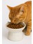 Kedi Figürlü Seramik Mama-Su Kabı 1