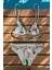 Kız Çocuk Fırfır Detaylı Üçgen Bağlamalı Kuş Tüyü Desen Baskılı Bikini Takımı 1
